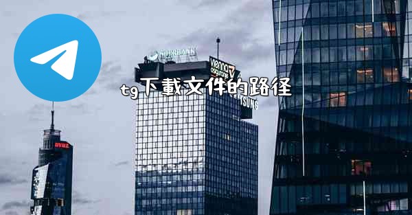 tg下載文件的路径