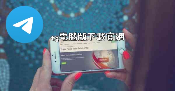 tg電腦版下載官網