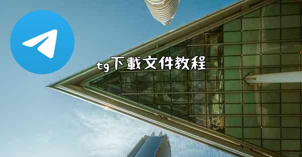 tg下載文件教程