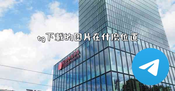 tg下載的图片在什麼位置
