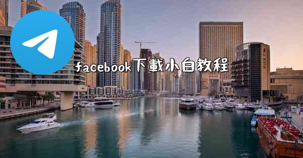 facebook下載小白教程