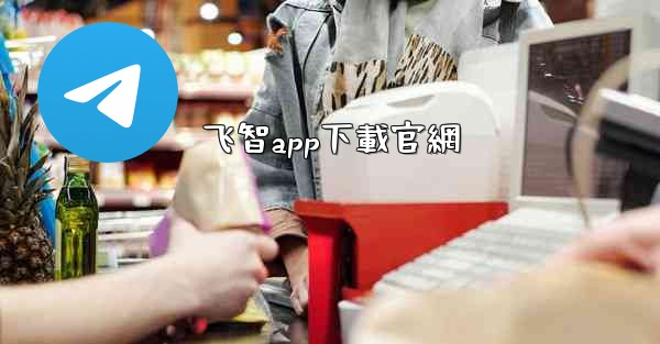 飞智app下載官網