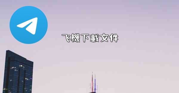 飞機下載文件