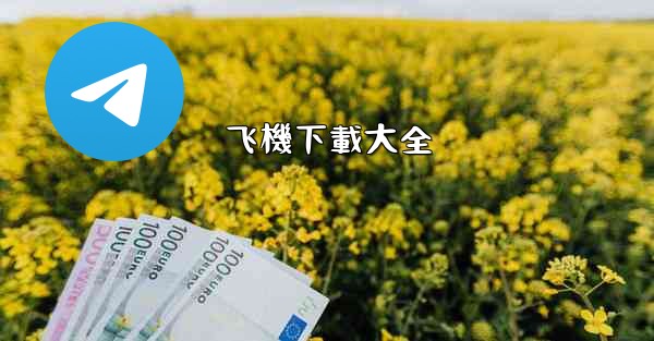 <b>飞機下載大全</b>