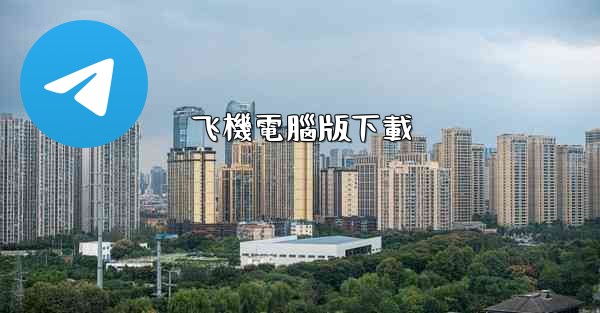 飞機電腦版下載