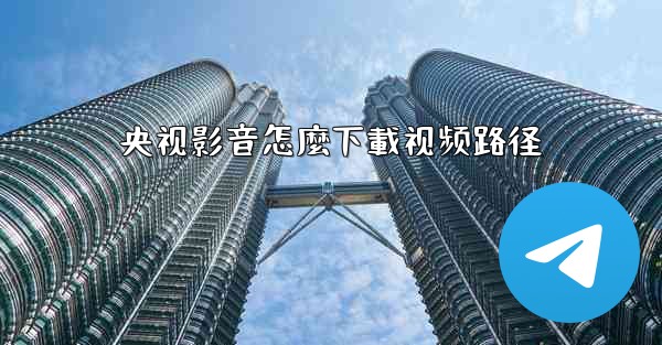 央视影音怎麼下載视频路径