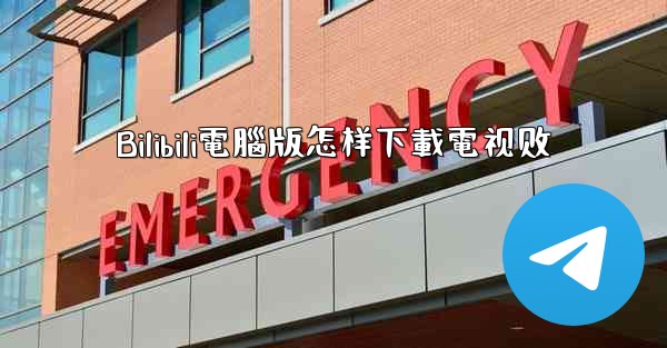 Bilibili電腦版怎样下載電视剧