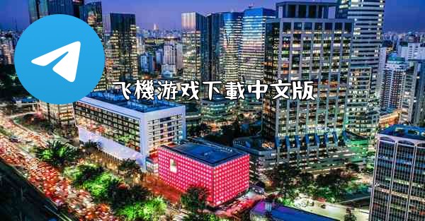 飞機游戏下載中文版