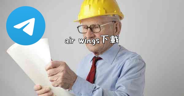 air wings下載