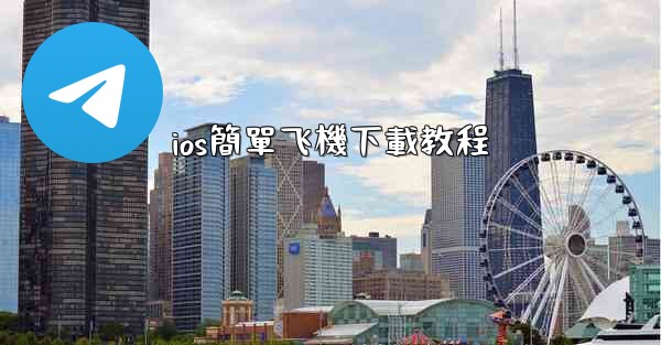 ios簡單飞機下載教程