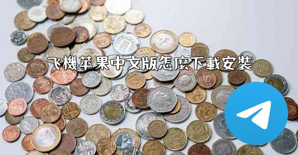 飞機苹果中文版怎麼下載安裝