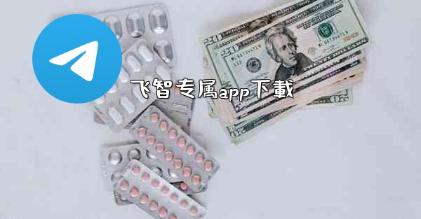 飞智专属app下載