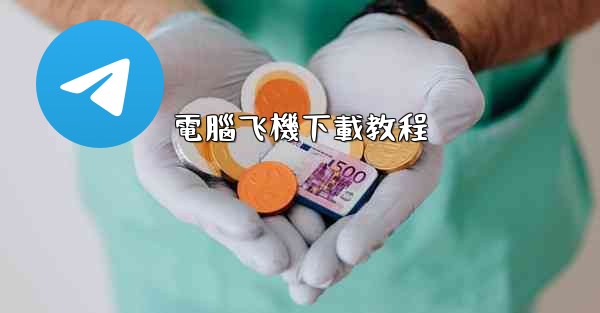 <b>電腦飞機下載教程</b>