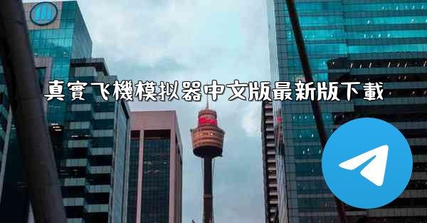 真實飞機模拟器中文版最新版下載