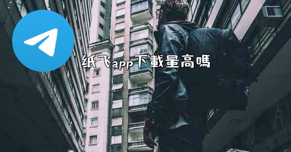 纸飞app下載量高嗎