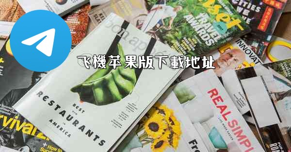 飞機苹果版下載地址