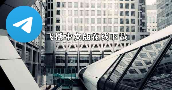 飞機中文版在线下載