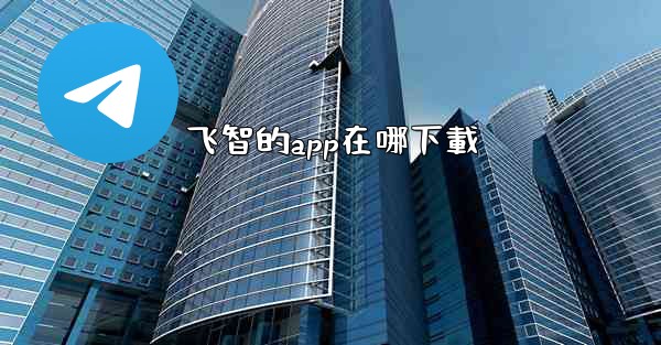飞智的app在哪下載