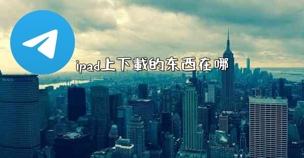 ipad上下載的东西在哪