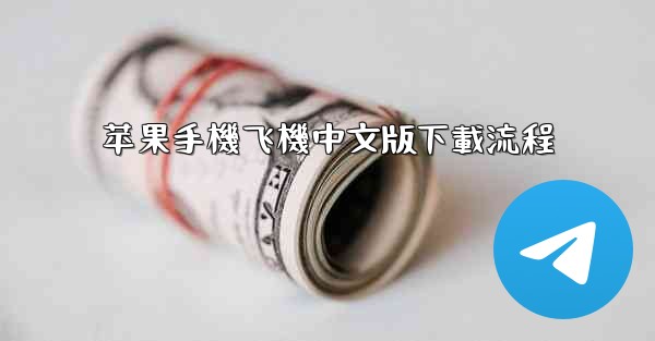 苹果手機飞機中文版下載流程