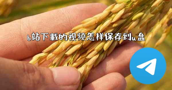 b站下載的视频怎样保存到u盘