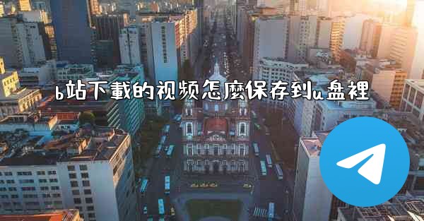 b站下載的视频怎麼保存到u盘裡