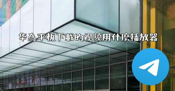 华為平板下載的视频用什麼播放器