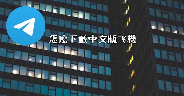 <b>怎麼下載中文版飞機</b>