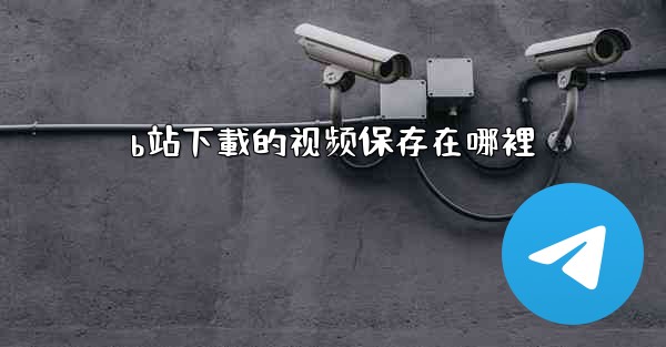 <b>b站下載的视频保存在哪裡</b>