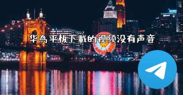 华為平板下載的视频没有声音