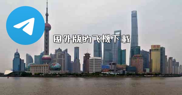<b>國外版的飞機下載</b>