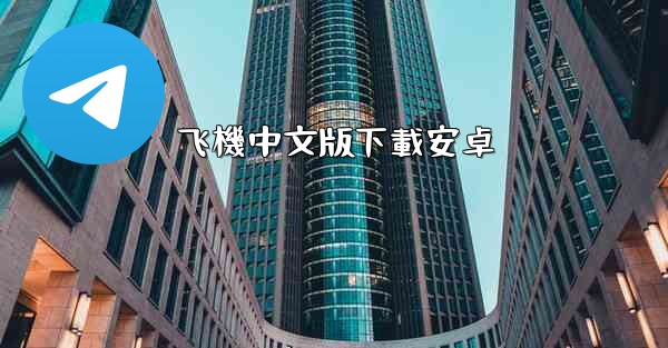 飞機中文版下載安卓