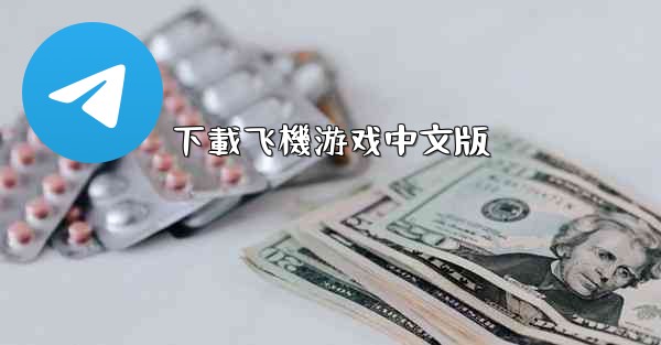 下載飞機游戏中文版