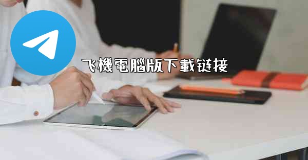 飞機電腦版下載链接