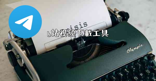 b站视频下載工具