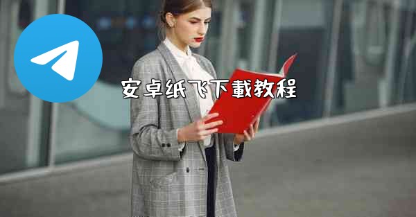 安卓纸飞下載教程