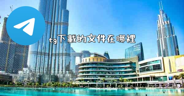 tg下載的文件在哪裡