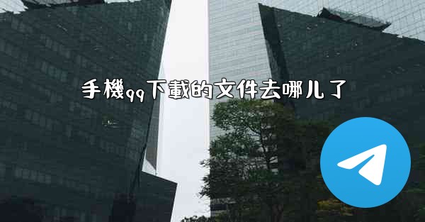 手機qq下載的文件去哪儿了