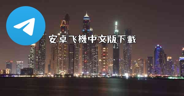 安卓飞機中文版下載