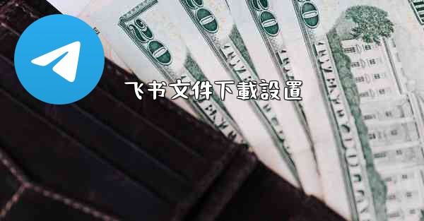 <b>飞书文件下載設置</b>