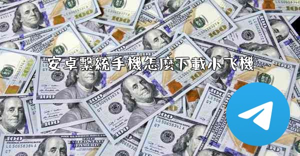 <b>安卓繫統手機怎麼下載小飞機</b>