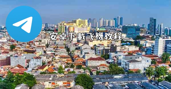 <b>安卓下載飞機教程</b>