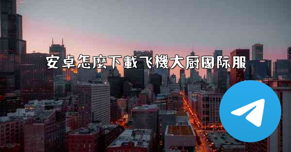 安卓怎麼下載飞機大厨國际服