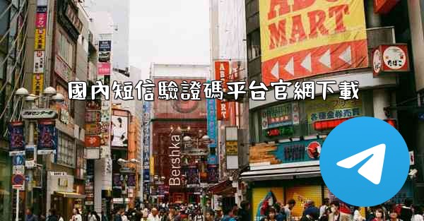 國內短信驗證碼平台官網下載