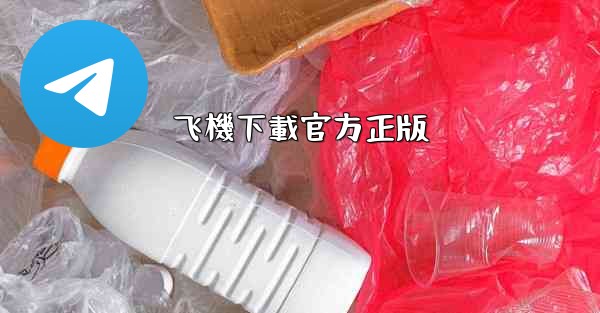 飞機下載官方正版