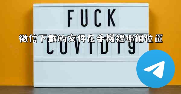 微信下載的文件在手機裡哪個位置