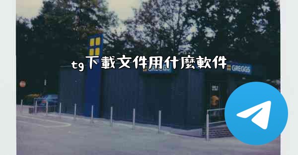 tg下載文件用什麼軟件