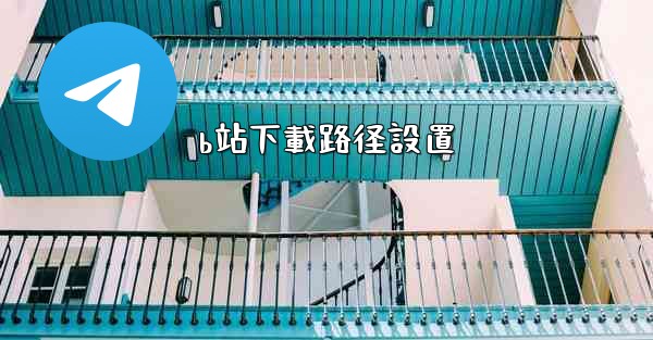 b站下載路径設置