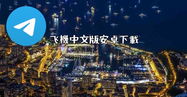 飞機中文版安卓下載