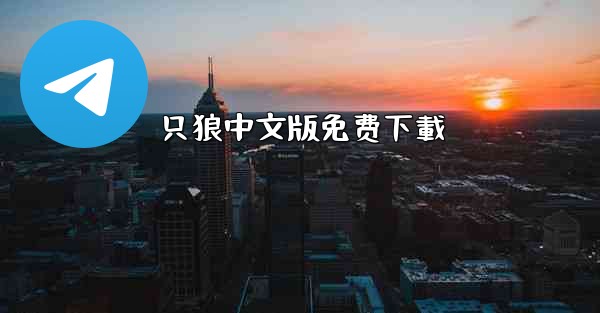 只狼中文版免费下載